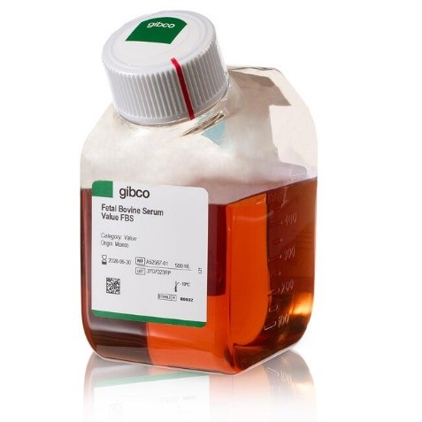 Fetal Bovine Serum